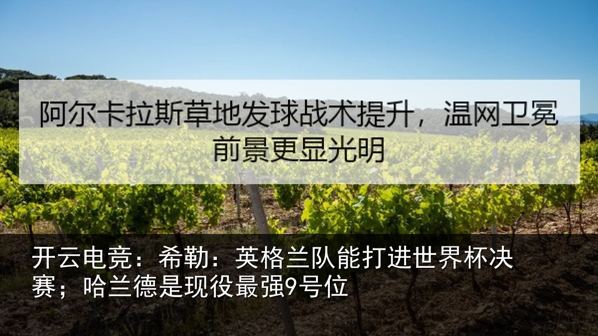 开云电竞：希勒：英格兰队能打进世界杯决赛；哈兰德是现役最强9号位
