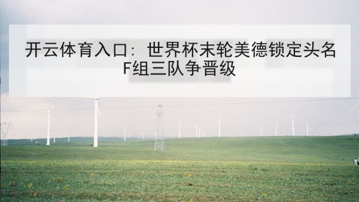 开云体育入口: 世界杯末轮美德锁定头名F组三队争晋级